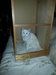 We had a little bit of help along the way too 