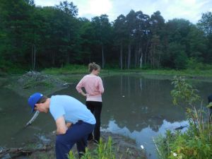 A visit to Allegany isn't complete without a quick stop at the beaver pond... searching intently for any sign of life