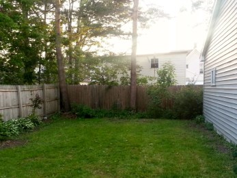 Not finished, but at least we can see the back fence now! 