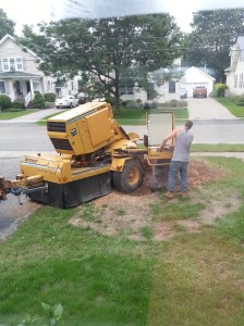 9am. Our neighbors must love us. 