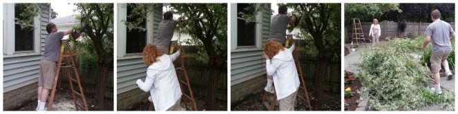 Action shots, for better or worse.